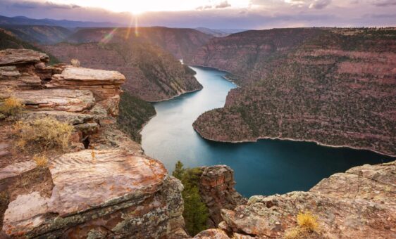 Appleby-homepage Banner-Global4