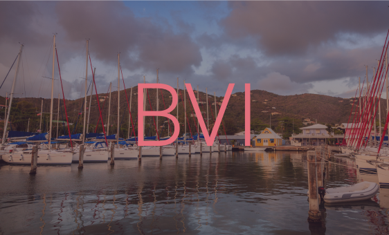 Website-Code-BVI-1