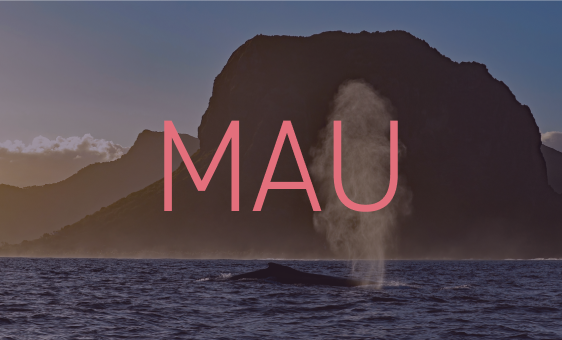 Website-Code-Mauritius-1