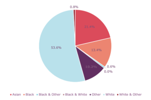 pie-chart-diversity-and-inclusion